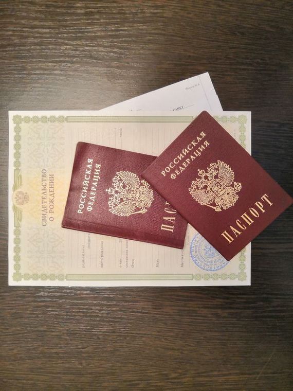 прописка в Сольцах